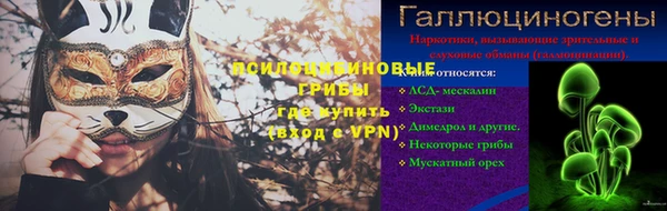 эйфоретик Белокуриха